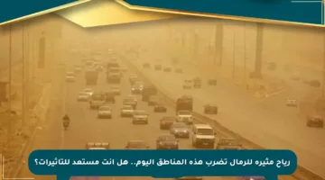 رياح مثيرة للرمال تضرب هذه المناطق اليوم.. هل أنت مستعد للتأثيرات؟